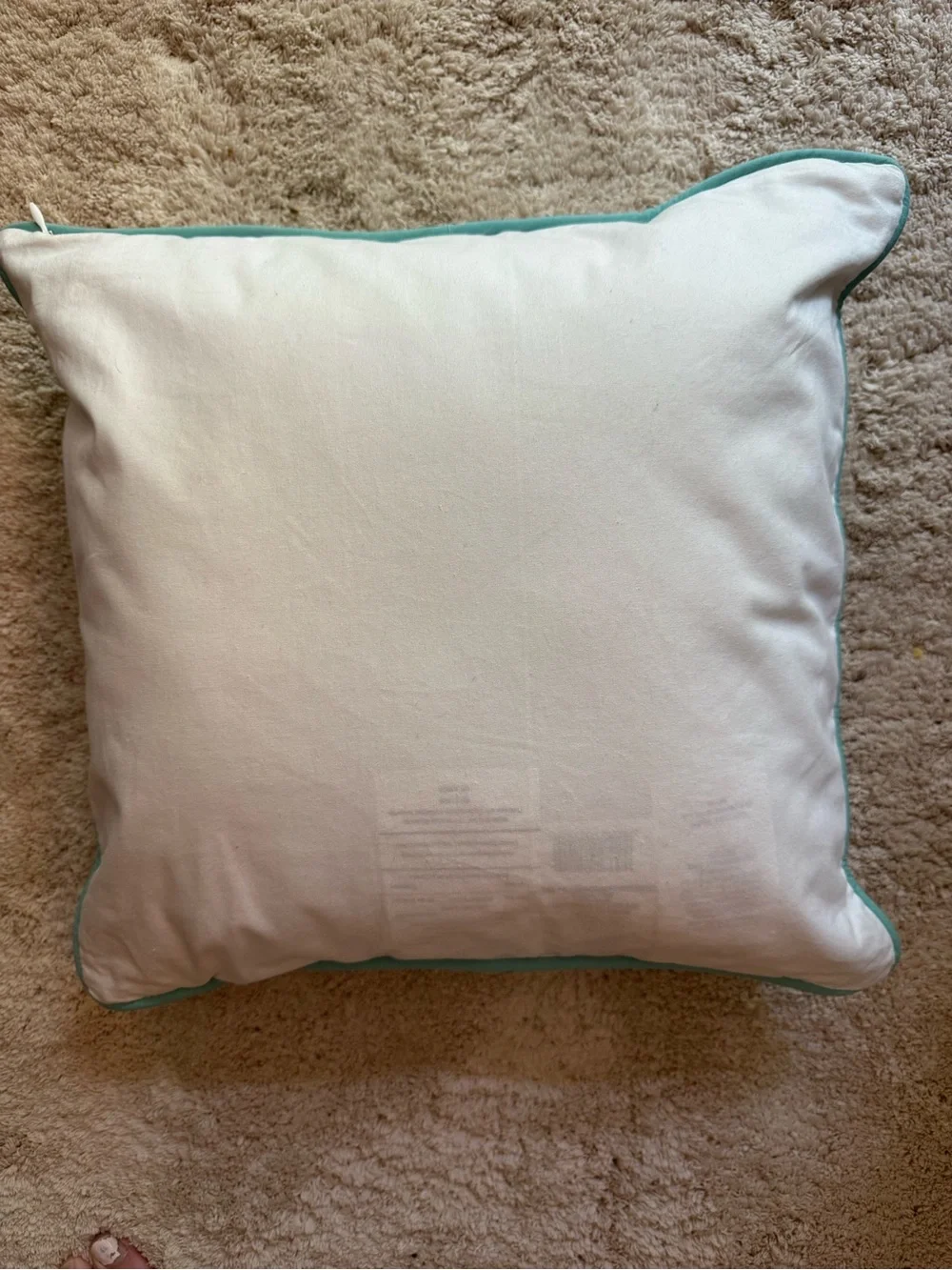Pottery Barn teen pillow cover/insert